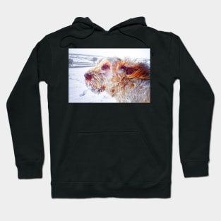 Windswept snowstorm Spinone Hoodie